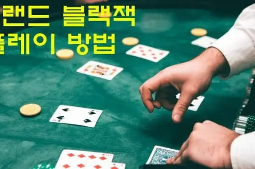 스포츠 토토 코리아, 스포츠의 즐거움과 책임감 있는 게임의 만남